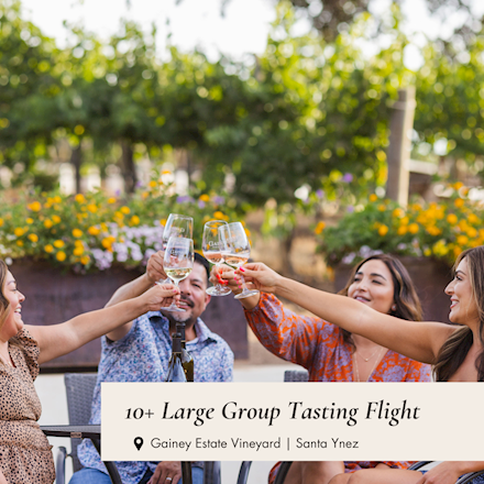 10+ Large Group Gainey Estate Vineyard Tasting Flight MAIN