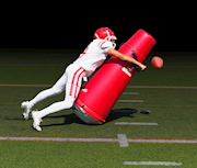 Ball Disruptor THUMBNAIL