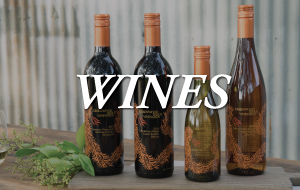 Wines