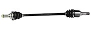 NCV11067 THUMBNAIL