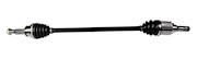 NCV11069 THUMBNAIL
