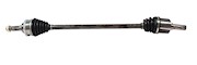 NCV11562 THUMBNAIL