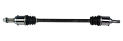 NCV36145 THUMBNAIL