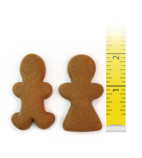 Gingerbread 2" Boy and Girl MAIN