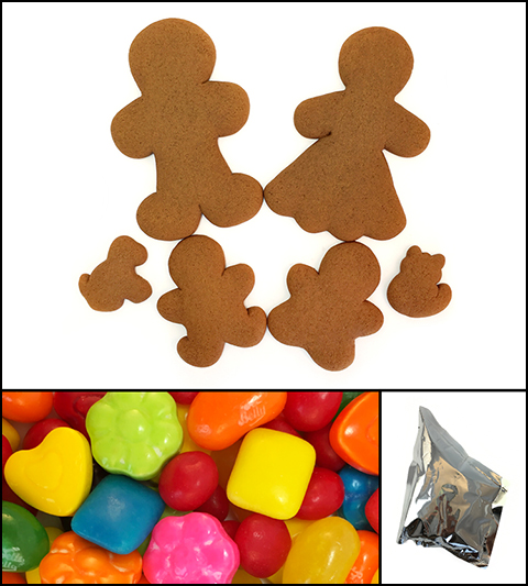 Gingerbread Cookie Family Kit MAIN