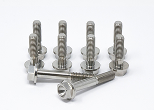 LT Front Cover Titanium Bolt Kit THUMBNAIL