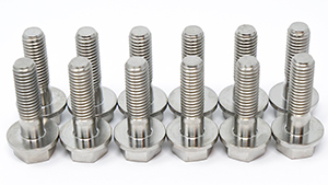 LT Rear Cover Titanium Bolt Kit THUMBNAIL