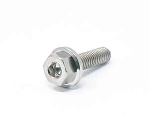 Titanium Hex Flange Multi-Bolt M6x1.0x22mm THUMBNAIL