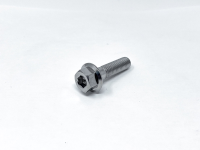 Titanium Hex Flange Multi-Bolt M10x1.5x40mm THUMBNAIL