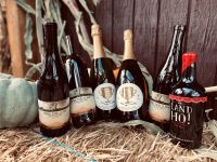 Holiday Hosting Survival Kit