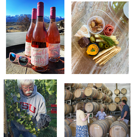 Vineyard Field Day MAIN