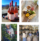 Vineyard Field Day THUMBNAIL