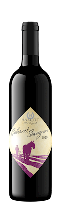 2020 Cabernet Sauvignon 750ml bottle LARGE
