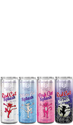 Splash Variety 4-Pack LARGE