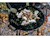 Muurikka Original Outdoor 58 cm Griddle Pan with Storage Bag 5 of 8