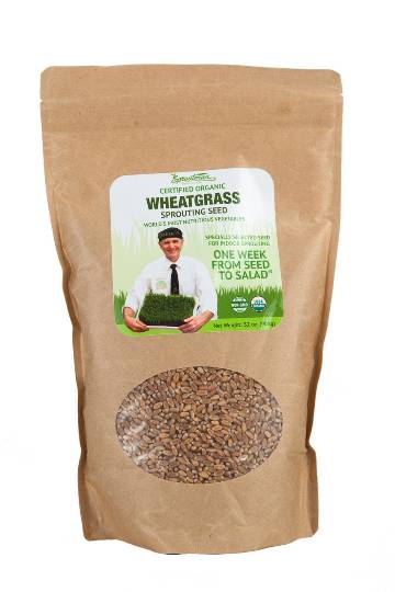 Hard Winter Red Organic Wheat Seeds for Sprouts MAIN