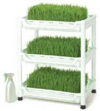 Sproutman’s SM350 Soil Free Wheatgrass Sprouter MAIN