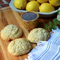 Lemon Poppy Seed Tin of Scones for Shipment THUMBNAIL