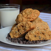 Tin of Cafe Mocha Scones for Shipment THUMBNAIL