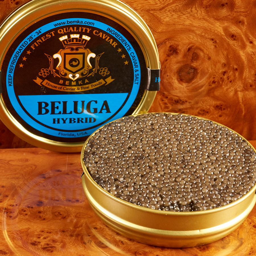 BELUGA HYBRID LARGE