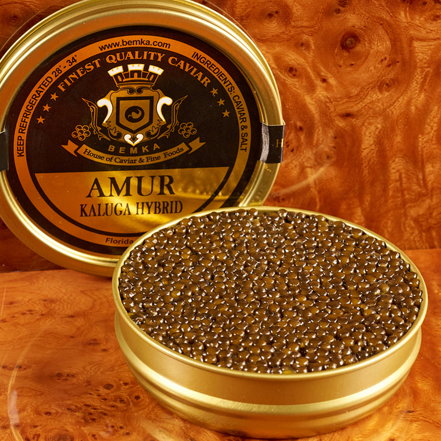 AMUR KALUGA MAIN