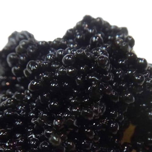 BLACK LUMPFISH CAVIAR 500g / 17.5 oz THUMBNAIL