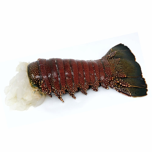 FROZEN LOBSTER TAIL 8 OZ LARGE