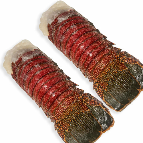 FROZEN LOBSTER TAIL (PACK X 2)- 16 OZ/EACH LARGE