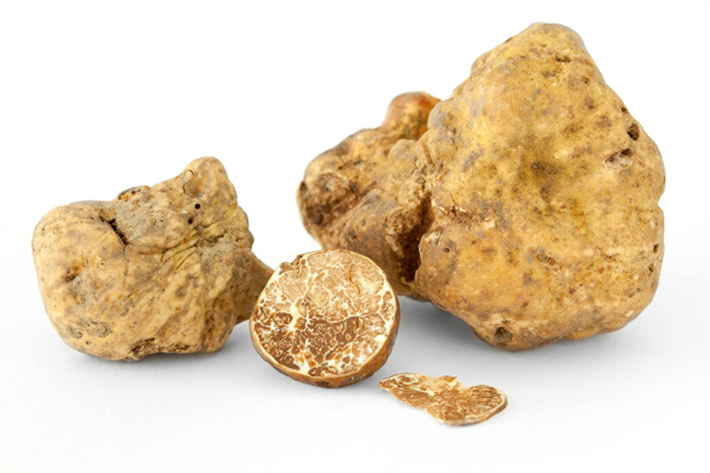 FRESH WHITE ALBA TRUFFLES ~ 1.5 oz MAIN