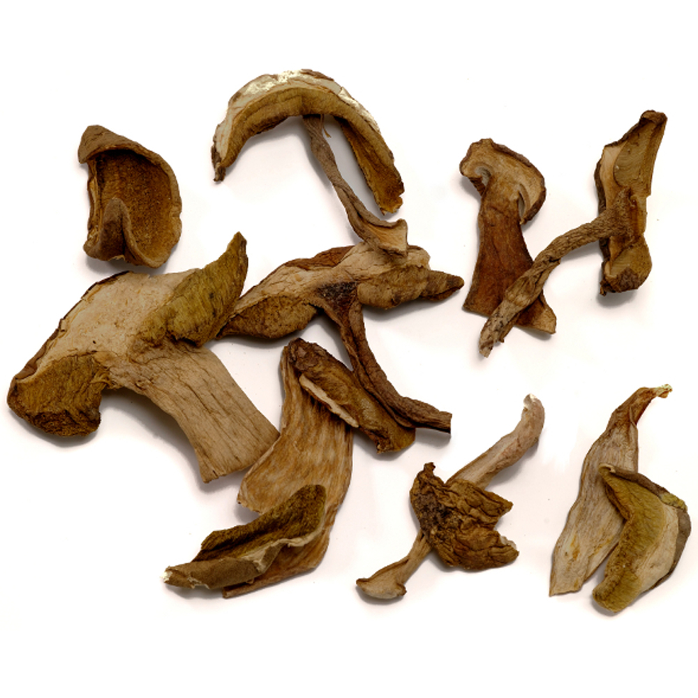 DRIED PORCINI-BOLETUS EDULIS MAIN