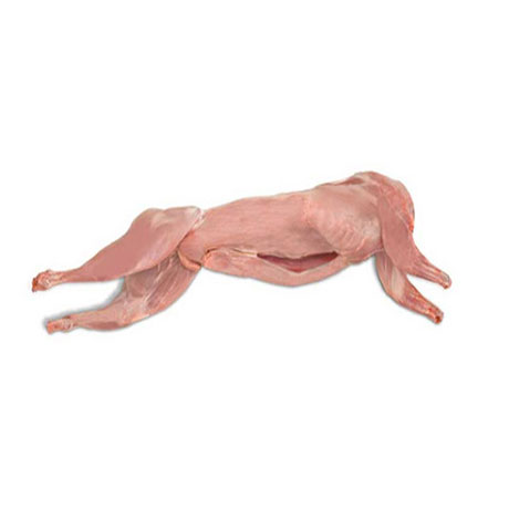 RABBIT, SPANISH WHOLE (3 LB PIECE) THUMBNAIL