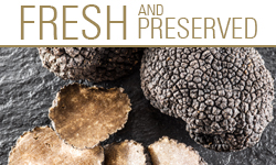 Fresh and Preserved