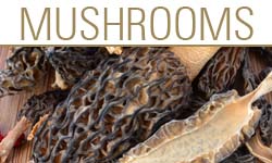 Mushrooms