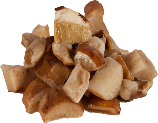 FROZEN PORCINI CUBE -2.2 LB BAG LARGE