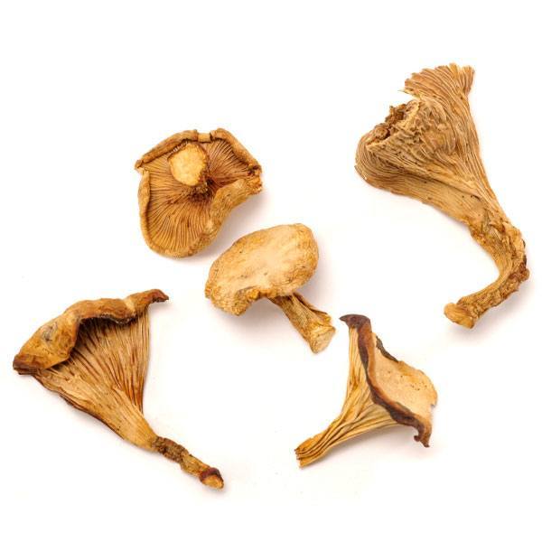 DRIED CHANTERELLES 2 OZ THUMBNAIL