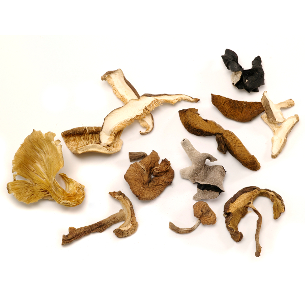 DRIED FOREST MIX MUSHROOMS 2 OZ MAIN