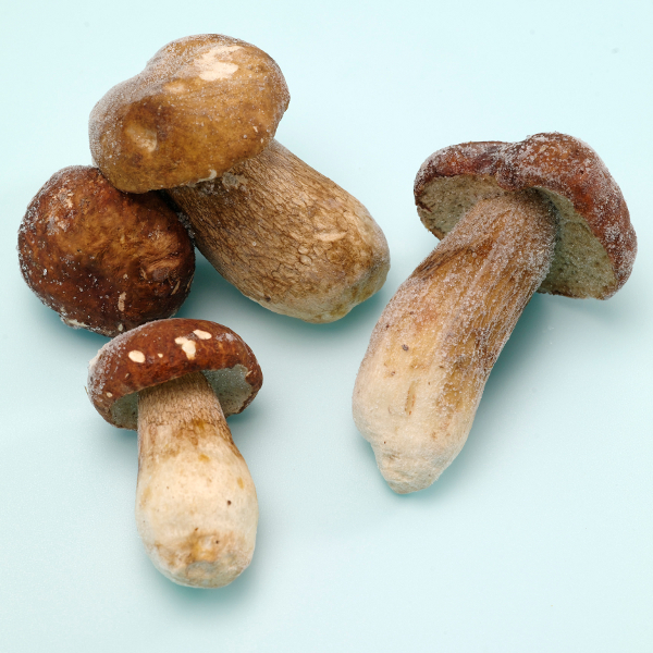 FROZEN PORCINI EXTRA- Large - 2.2 LB BAG LARGE