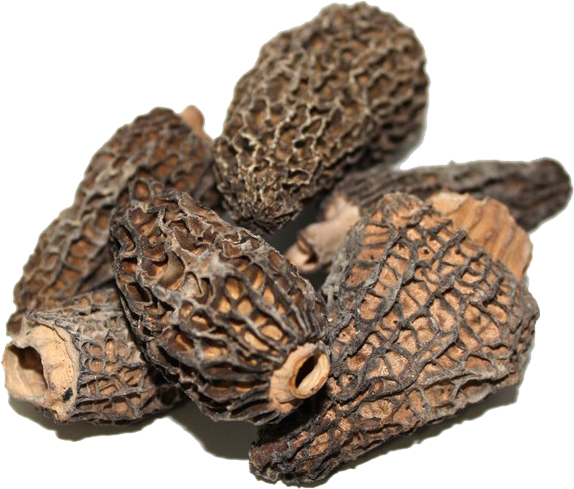 DRIED MORELS LARGE 2 OZ THUMBNAIL