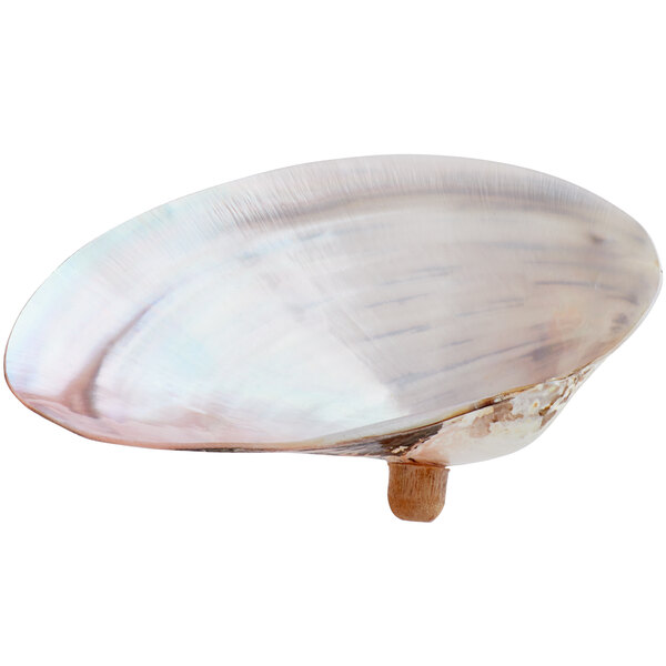 MOTHER OF PEARL DISH - REGULAR SIZE MAIN