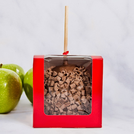 Chocolate Dipped Caramel Apple with Chocolate Curls THUMBNAIL