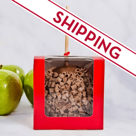 Shipping - Chocolate Dipped Caramel Apple with Chocolate Curls MAIN