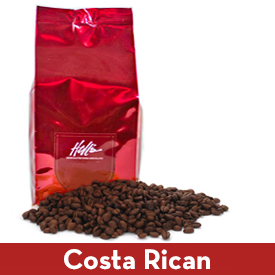 Costa Rican MAIN