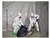 DuPont Tyvek 400 Protection Attached Hood & Skid-Resistant Boot Coverall SWATCH