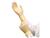 PFE-Xtra Latex Exam Gloves SWATCH