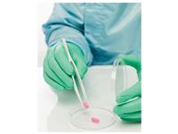 BioClean Fusion, Sterile, Textured Grip, Polychloroprene Gloves MAIN