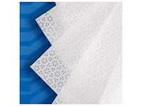 PolySat Cleanroom Wipers MAIN