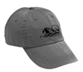 IAEP Logo Base Ball Cap MAIN