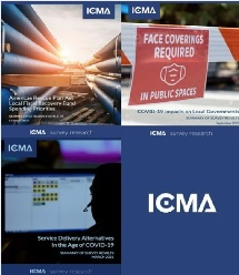 COVID-19 Survey Dataset Bundle 2020, 2021 THUMBNAIL