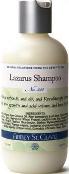 Abbey St. Clare Lazarus Shampoo LARGE