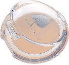 Miessence Concealers to Hide Dark Circles, Blemishes and Aging Spots LARGE